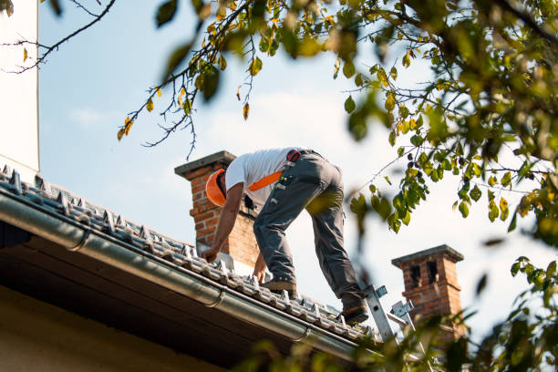 Best Roof Gutter Cleaning  in Pima, AZ